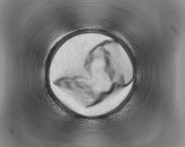 X0000112940975200909211130