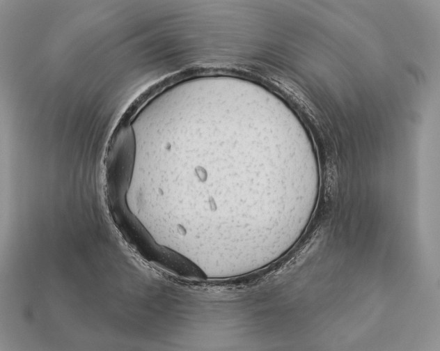 X0000112940976200909211130