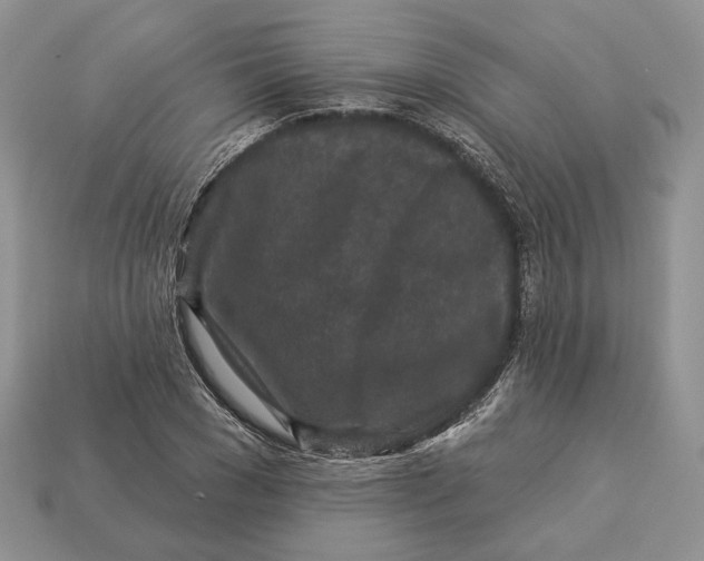 X0000112940977200909211130