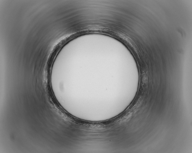 X0000112940979200909211130