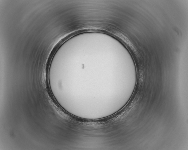 X0000112940980200909211130