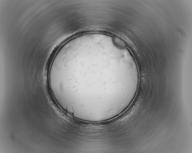 X0000112940981200909211130