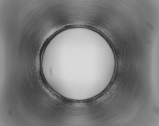 X0000112940982200909211130