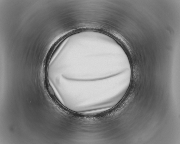 X0000112940983200909211130