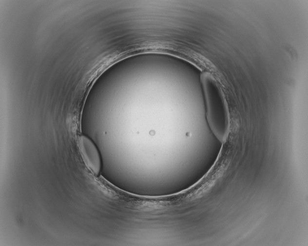 X0000112940985200909211130
