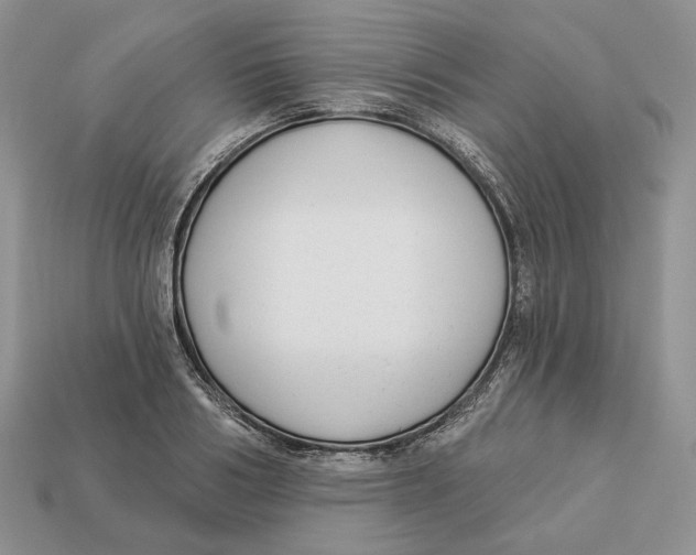 X0000112940986200909211130