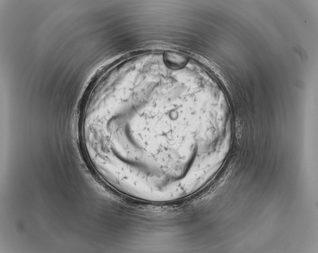 X0000112940987200909211130
