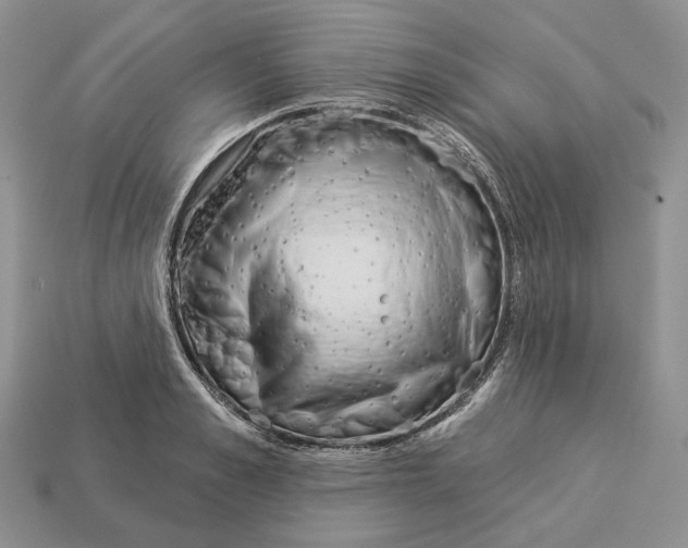 X0000112940989200909211130