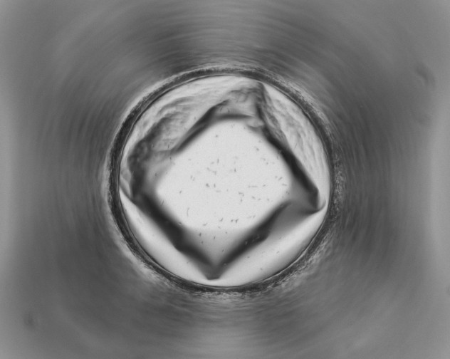 X0000112940991200909211130