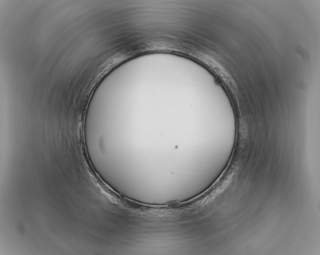 X0000112940993200909211130