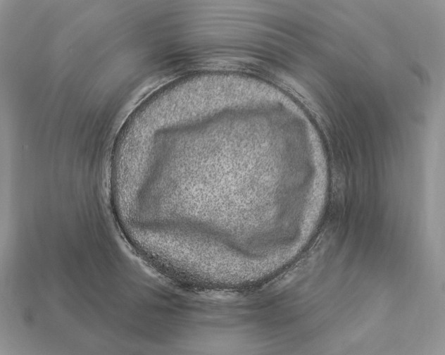 X0000112940994200909211130