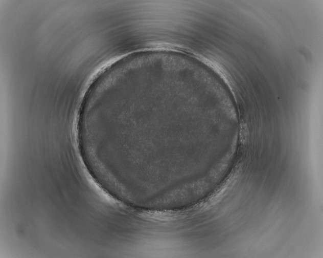 X0000112940995200909211130