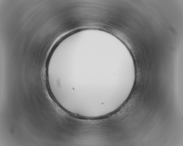 X0000112940996200909211130