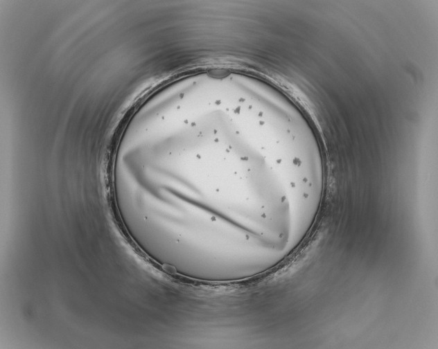 X0000112940997200909211130