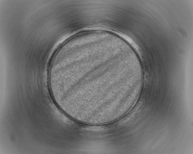 X0000112940998200909211130