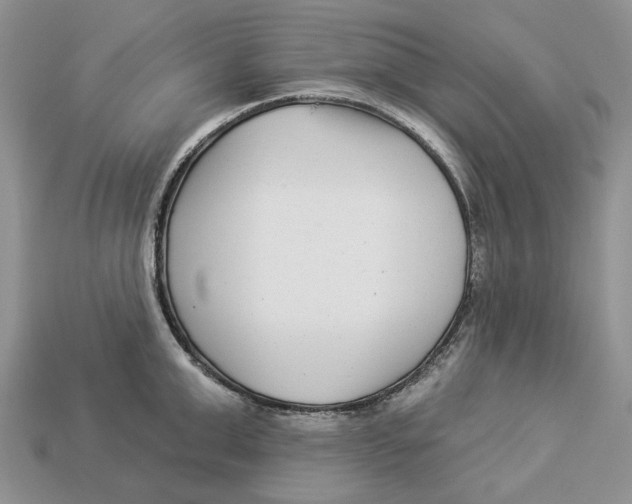X0000112940999200909211130