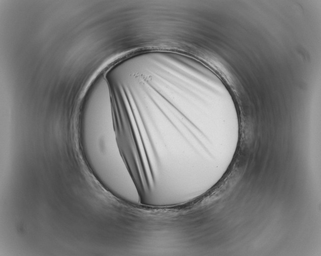 X0000112941000200909211130