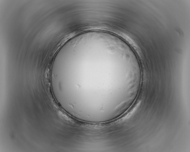 X0000112941001200909211130