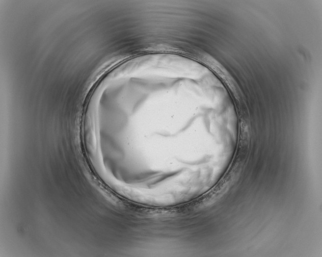 X0000112941002200909211130