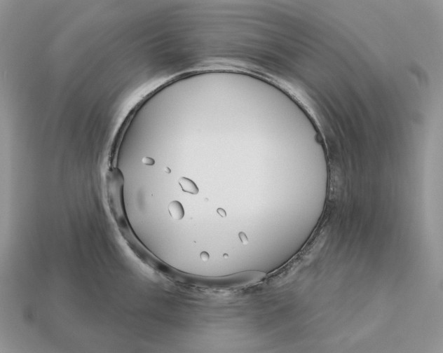 X0000112941003200909211130