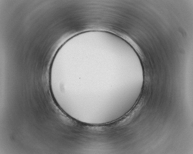 X0000112941004200909211130