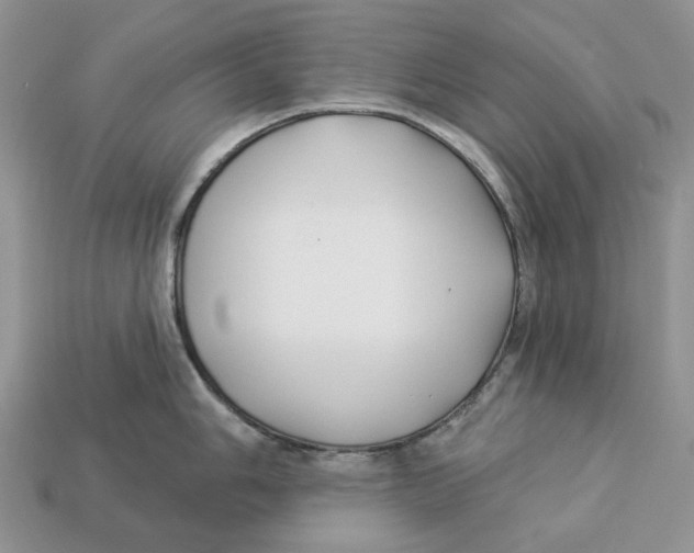 X0000112941006200909211130