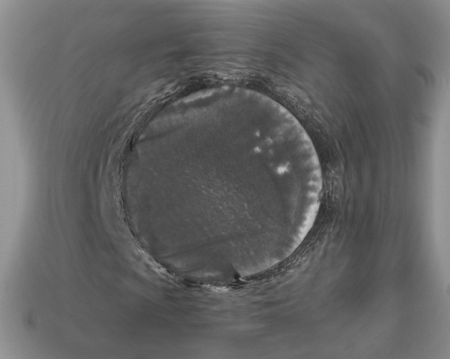 X0000112941009200909211129