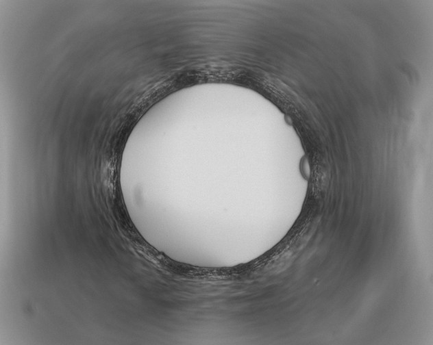 X0000112941010200909211129