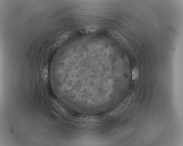 X0000112941011200909211129