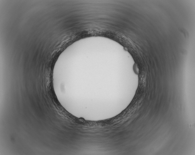 X0000112941012200909211129