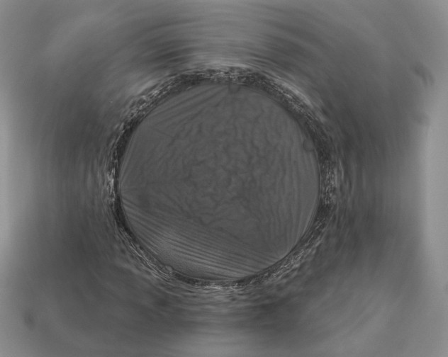 X0000112941013200909211129