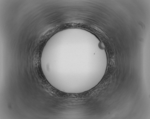 X0000112941014200909211129