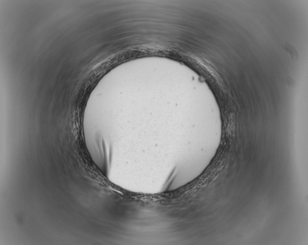 X0000112941015200909211129