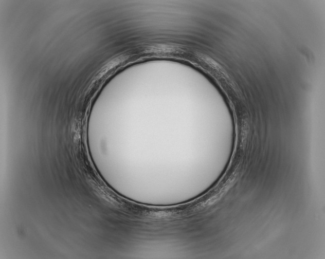 X0000112941017200909211129