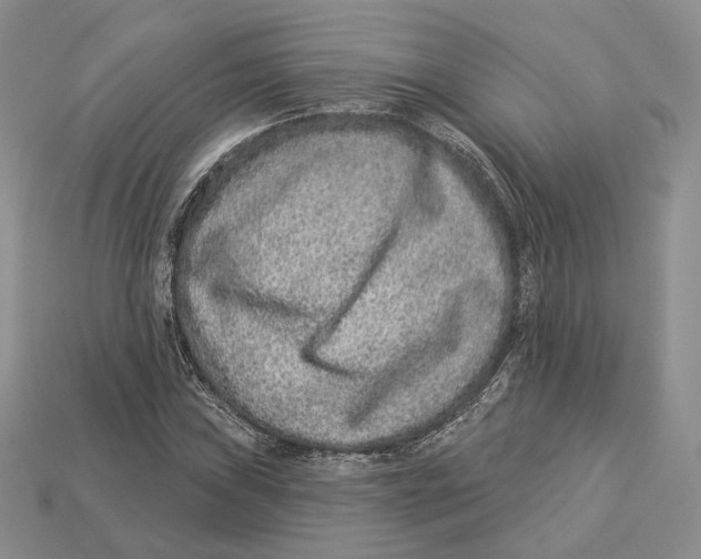 X0000112941019200909211129