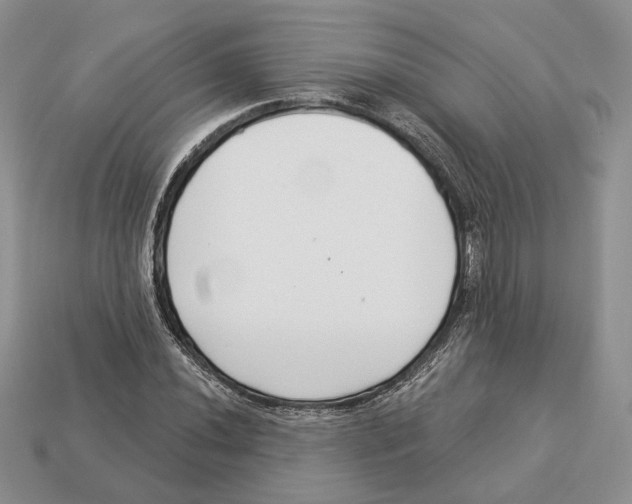 X0000112941020200909211129