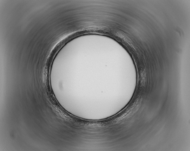 X0000112941021200909211129