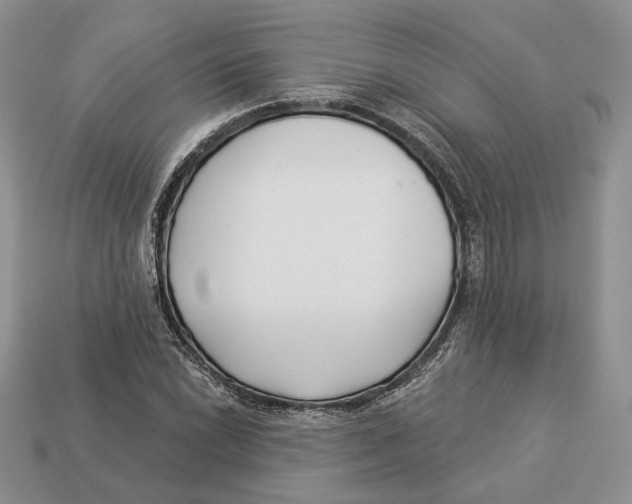 X0000112941022200909211129