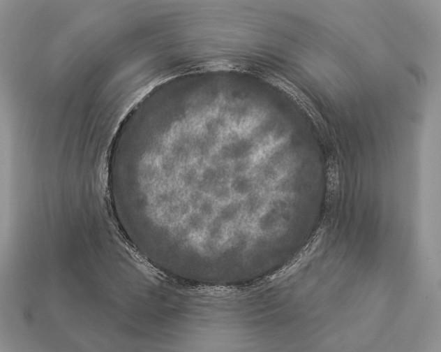X0000112941023200909211129