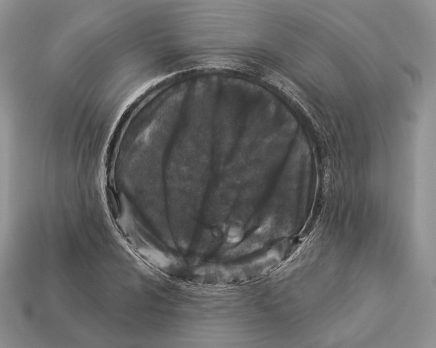 X0000112941024200909211129