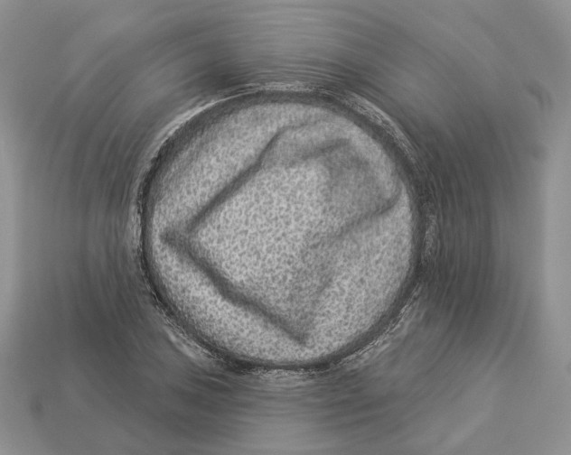 X0000112941027200909211129
