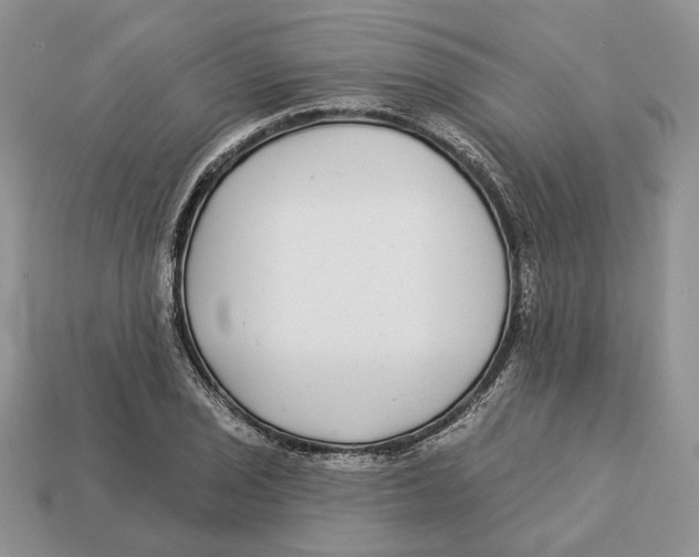 X0000112941029200909211129