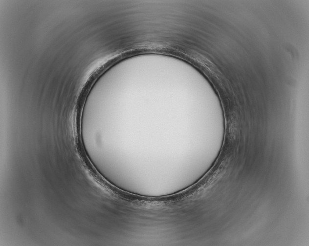 X0000112941030200909211129