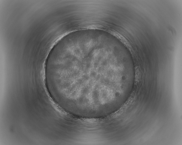 X0000112941031200909211129