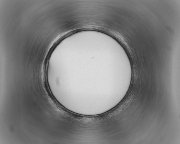 X0000112941032200909211129