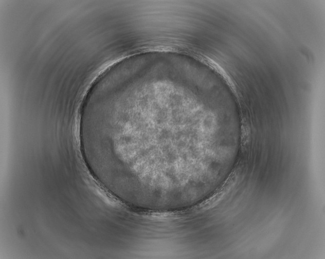 X0000112941035200909211129