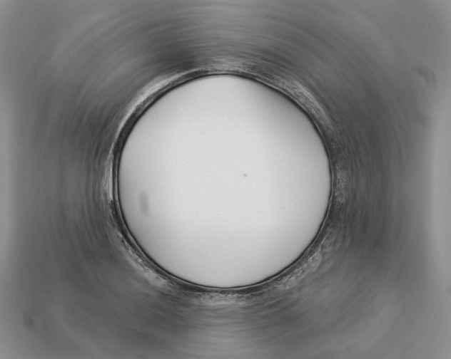 X0000112941036200909211129