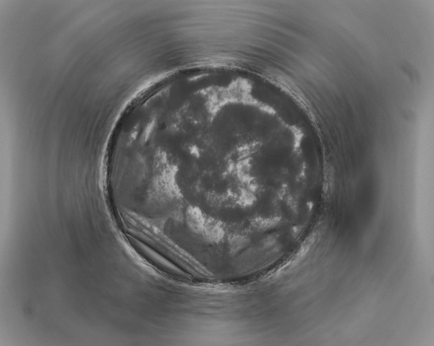 X0000112941037200909211129