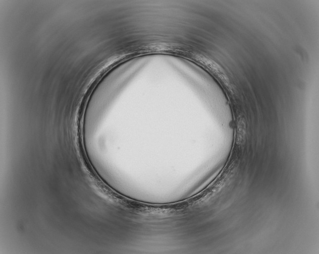 X0000112941039200909211130