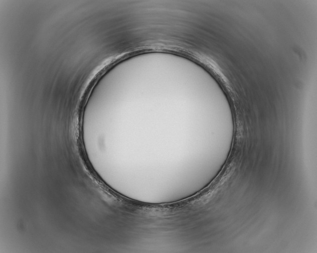 X0000112941040200909211130